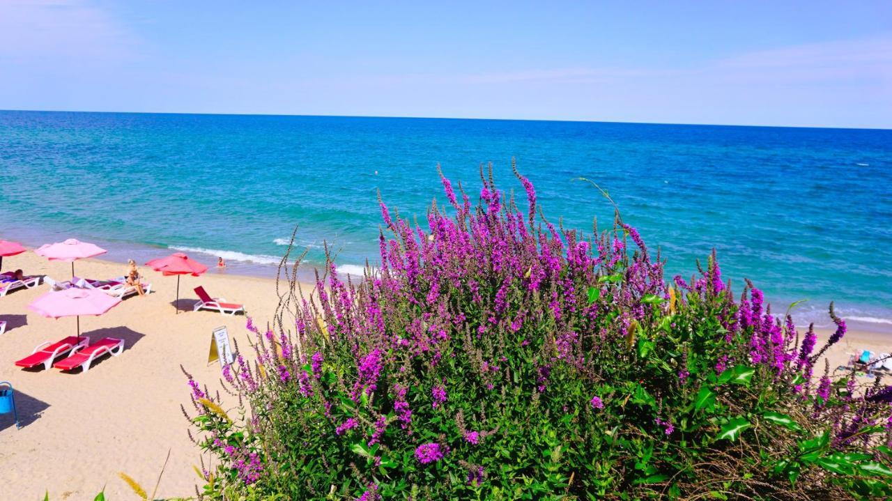 Byala Vista Beach Apartments D - Бяла Виста Бийч Апартментс Д المظهر الخارجي الصورة